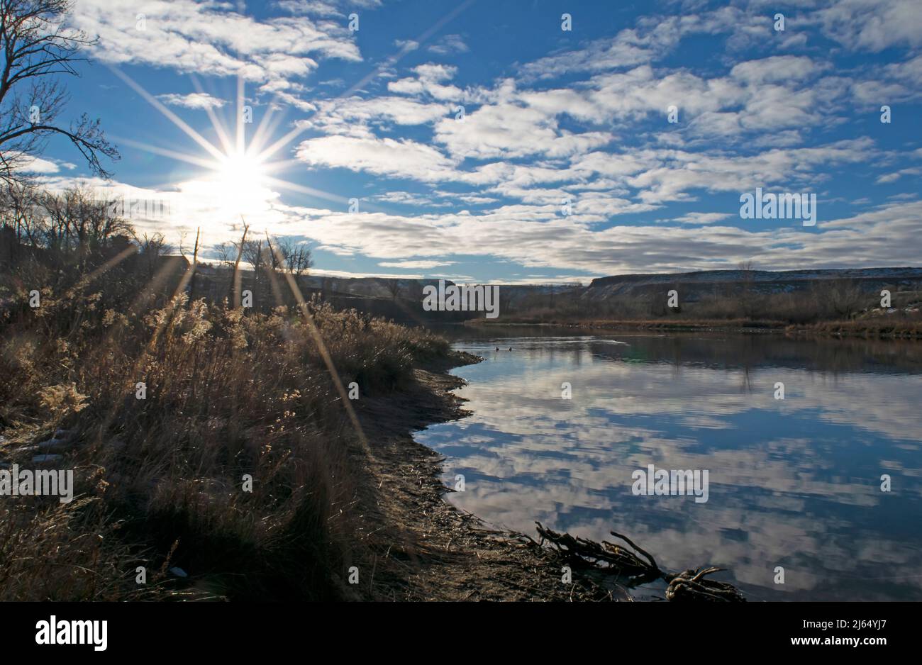 View of the Boise River Idaho Stock Photo