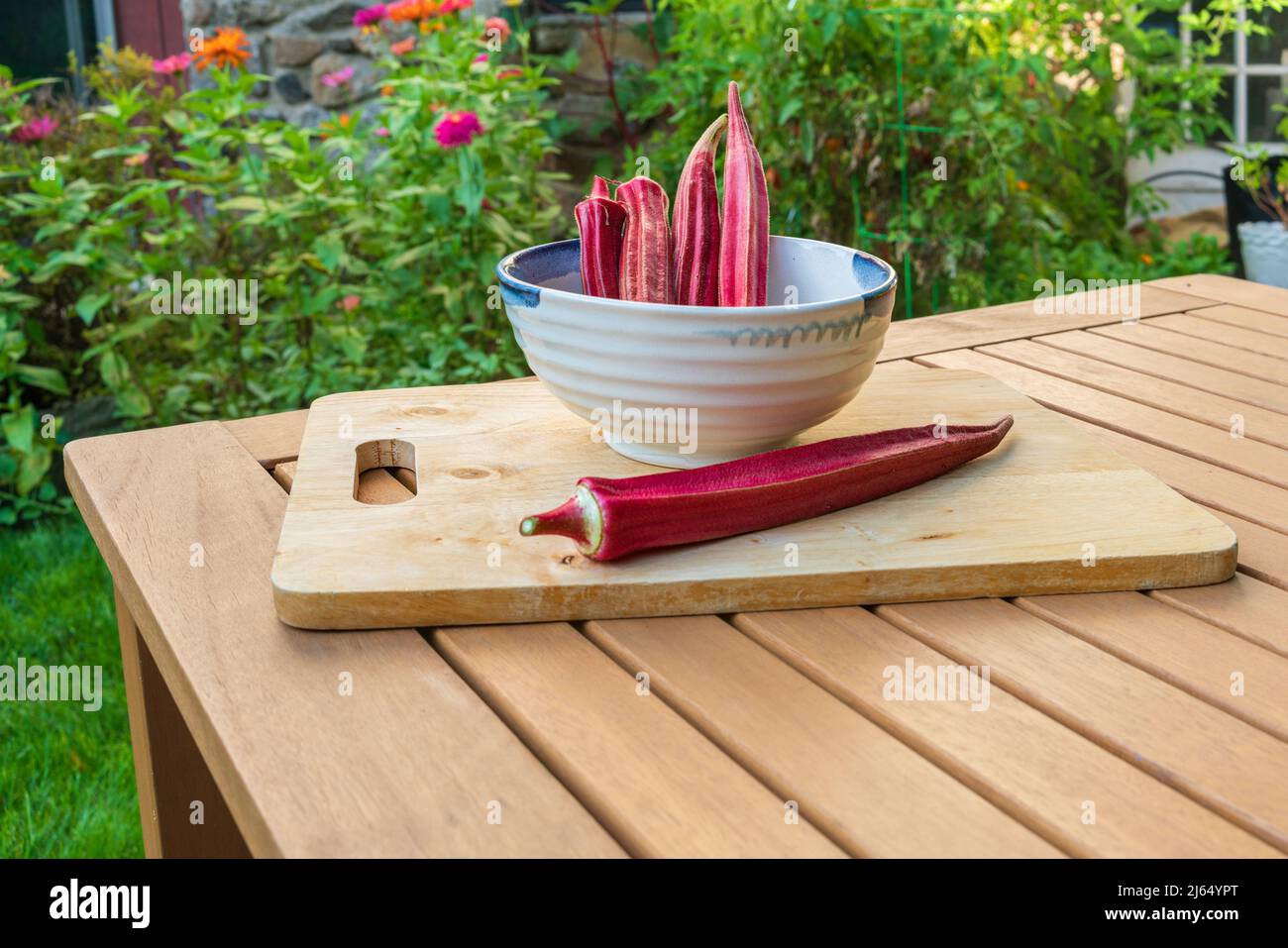 Pink okra edible seed pods hires stock photography and images Alamy