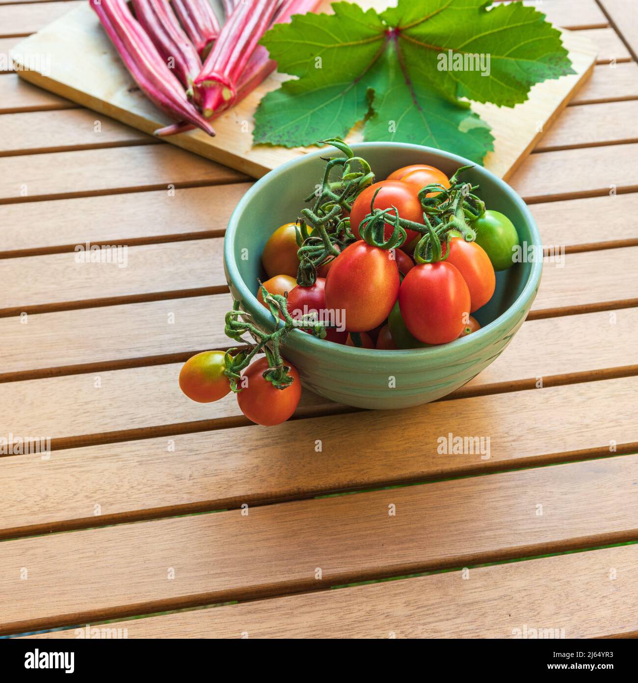 Fresh picked Italian Grappoli d’Inverno winter grape tomatoes and Jing orange okra pods on an outdoor table with copy space Stock Photo