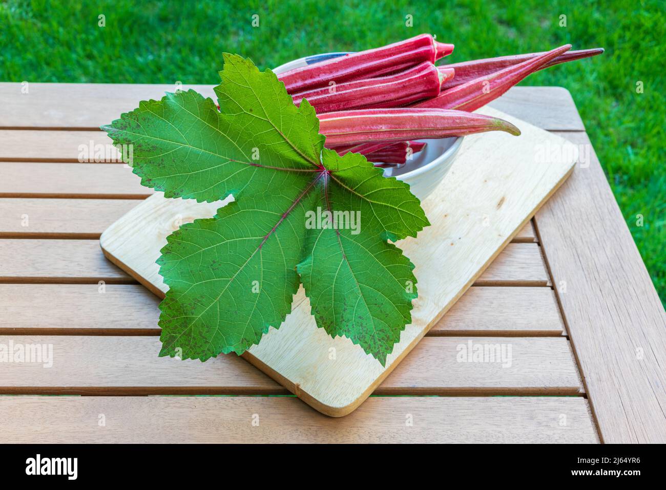 Freshly harvested organic vegetables Jing orange okra pods Abelmoschus