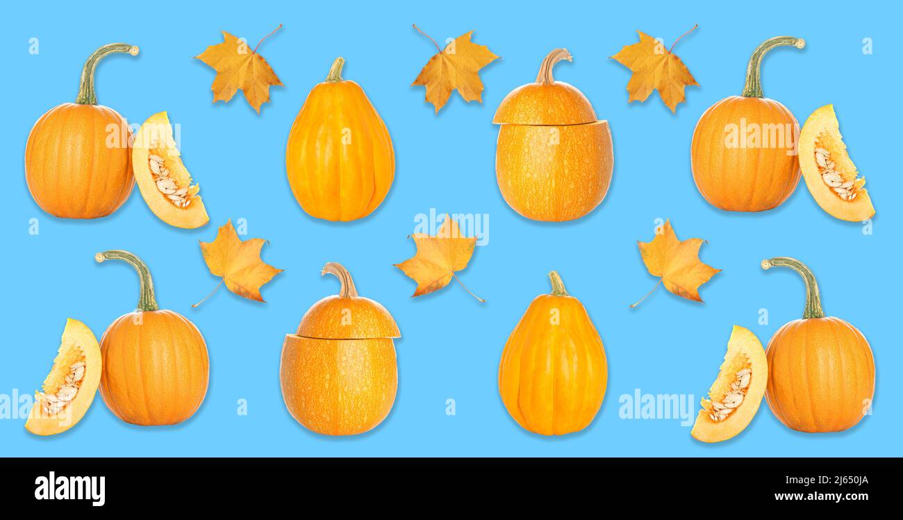 Many pumpkins and autumn leaves on blue background. Pattern for design ...