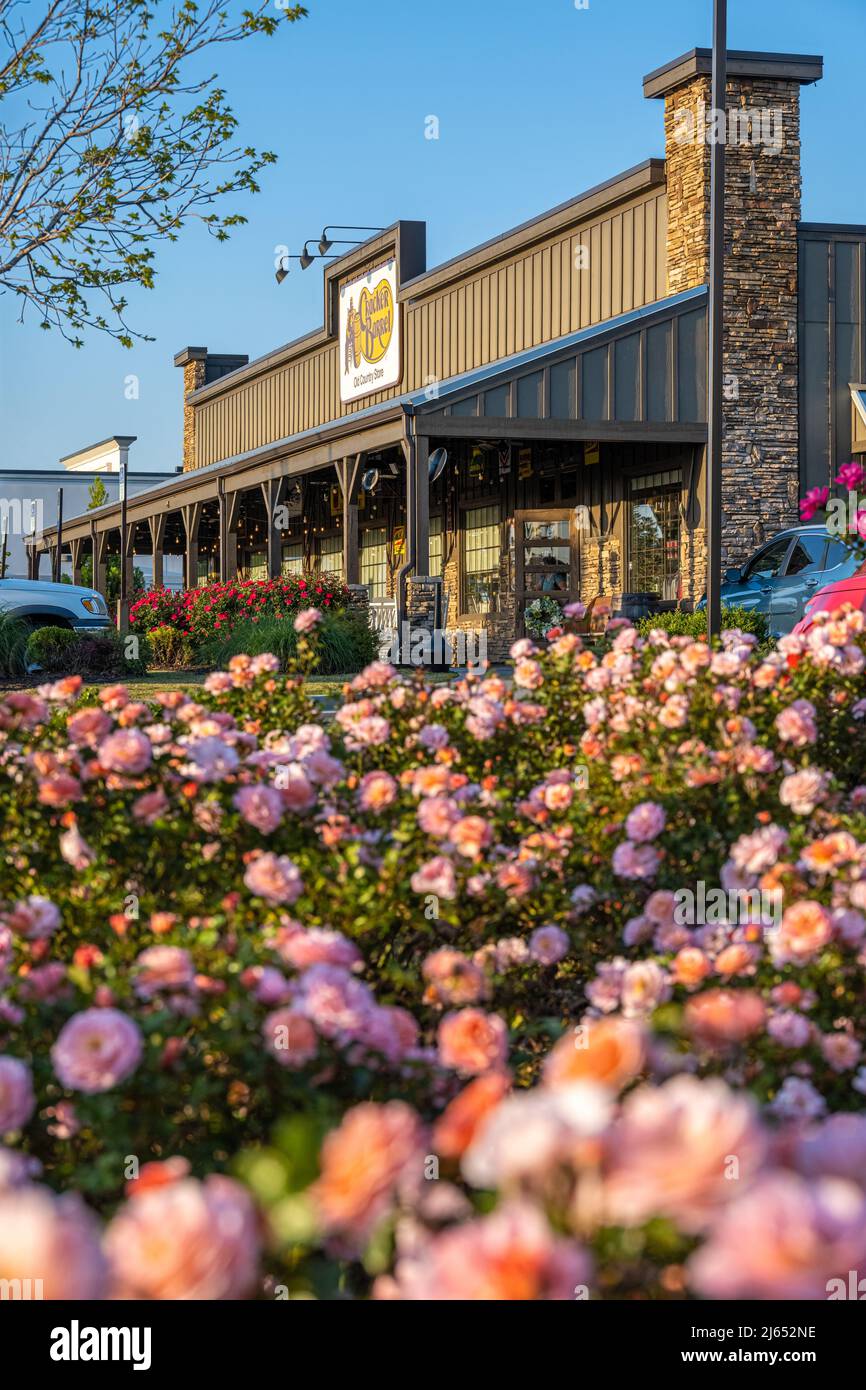 Springtime in Atlanta at the Cracker Barrel Old Country Store restaurant in Snellville, Georgia at sunset. (USA) Stock Photo