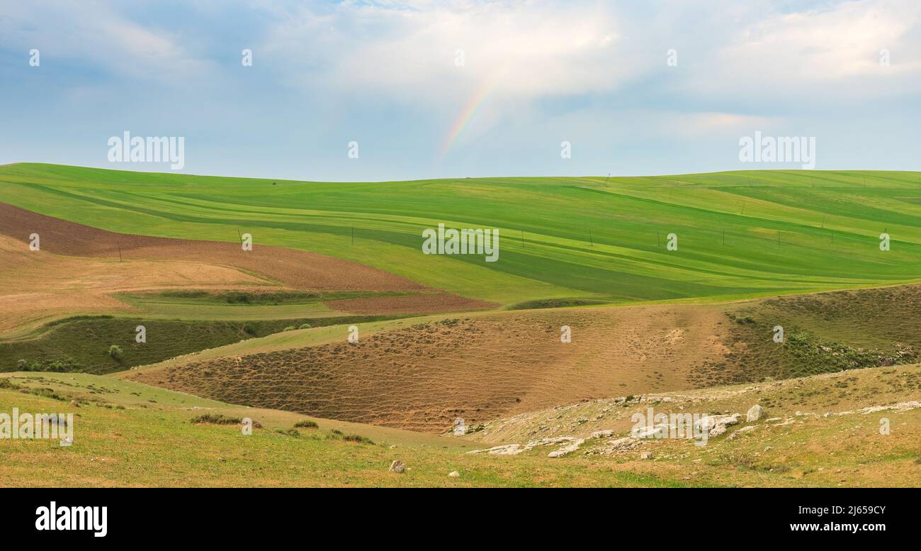 Landscape with green farm fields and cloudy sky Stock Photo - Alamy