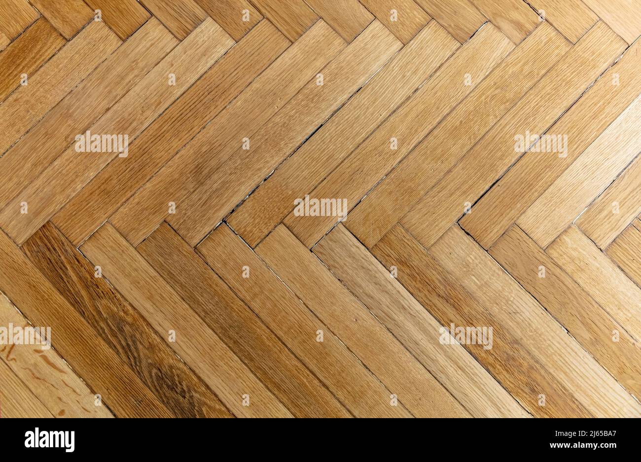 Wood Flooring | Sustainable | Affordable | Durable | Fitted