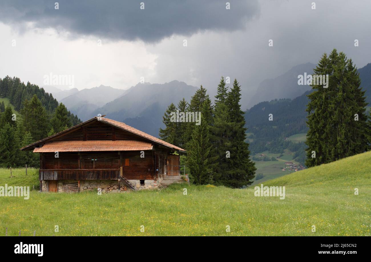 Wooden hut on the slope of the forest-covered mountains in the Swiss Alps under dramatic clouds on rainy day in Beatenberg, Switzerland Stock Photo