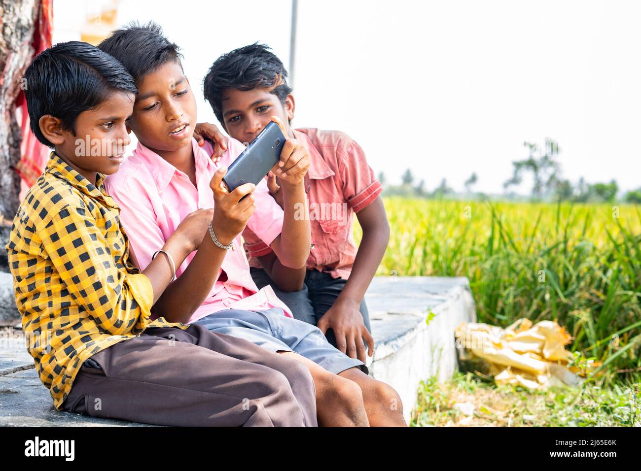 Indian village teenage kids playing video game on mobile phone near paddy field - concept of technology, togetherness and development Stock Photo