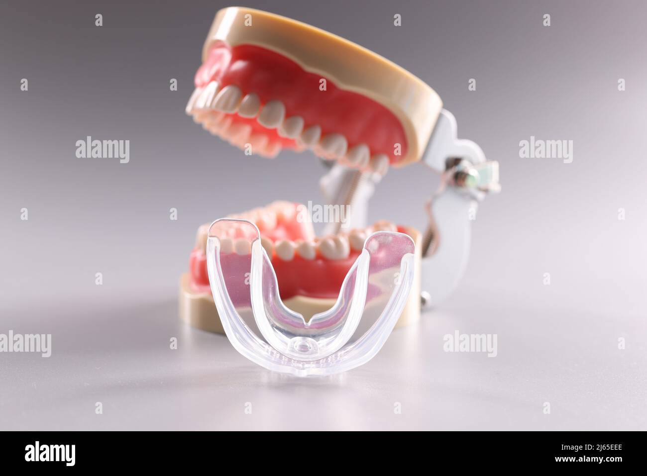 Tooth model and aligner teeth orthodontic dental model or human jaw Stock Photo