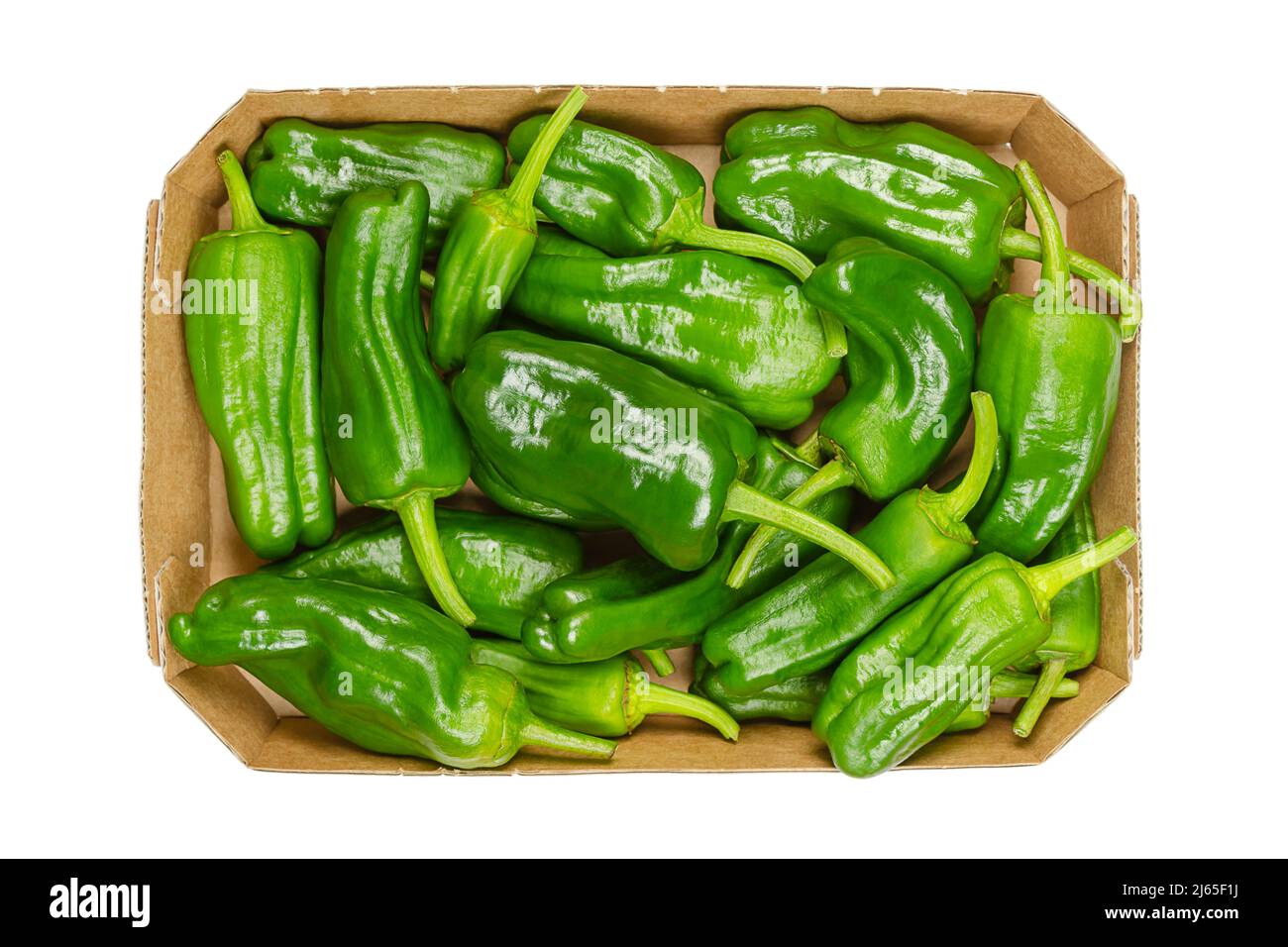 Raw Padron peppers, also called Herbon peppers, in a cardboard tray. Variety of Capsicum annuum from the municipality of Padron in northwestern Spain. Stock Photo