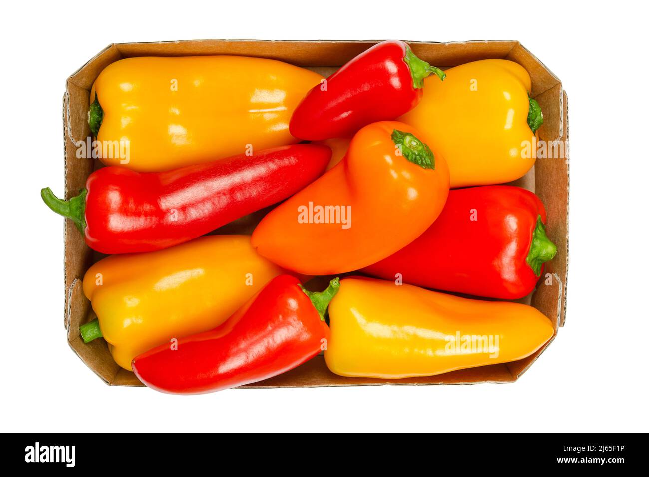 Snacking mini sweet peppers, in cardboard tray. Ripe, fresh bell peppers in three colors, also called capsicums, fruits of  vegetable Capsicum annuum. Stock Photo