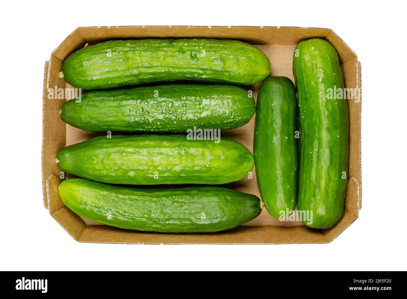 Fresh snack cucumbers, in a cardboard tray. Small, young and whole cucumber fruits, crunchy and ready to eat. Cucumis sativus, a vegetable. Stock Photo