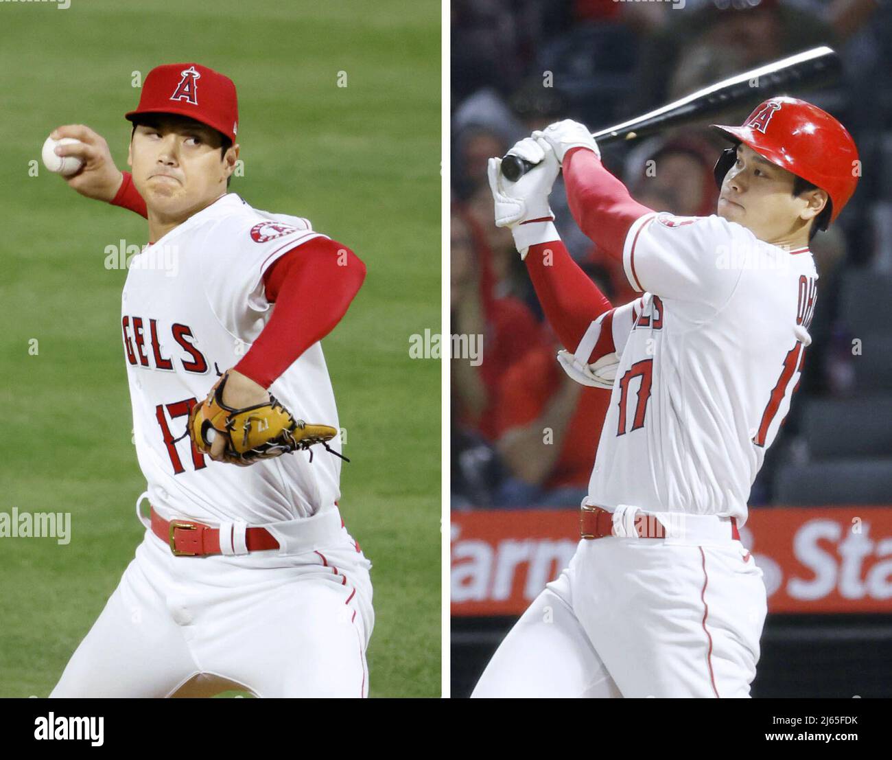 Los Angeles Angels on X: Tag along with Shohei Ohtani during Angels Photo  Day 📸 #LAASpring  / X