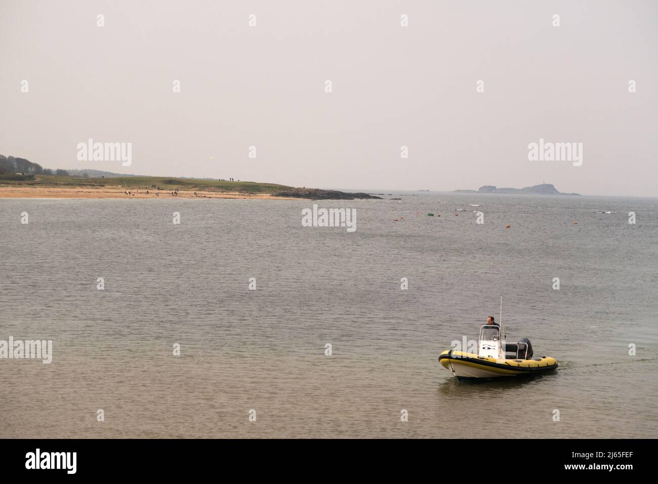 A man driving a motorboat along the coast in North Berwick, Scotland, UK. Stock Photo