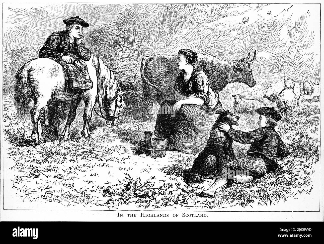Engraving of farmers with their stock in the Scottish highlands,  circa 1890 Stock Photo
