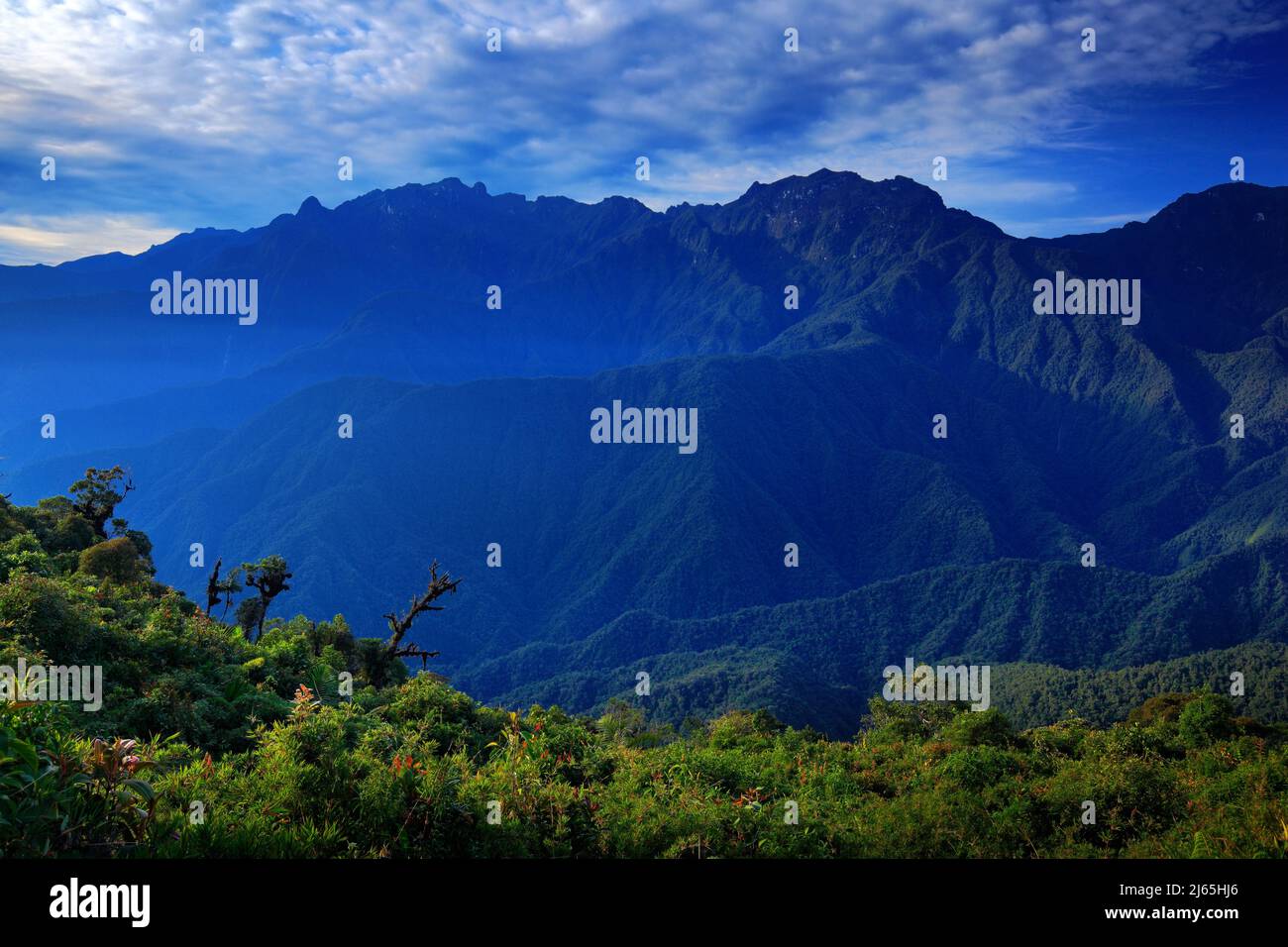 Moutain tropical forest with blue sky and clouds,Tatama National Park ...