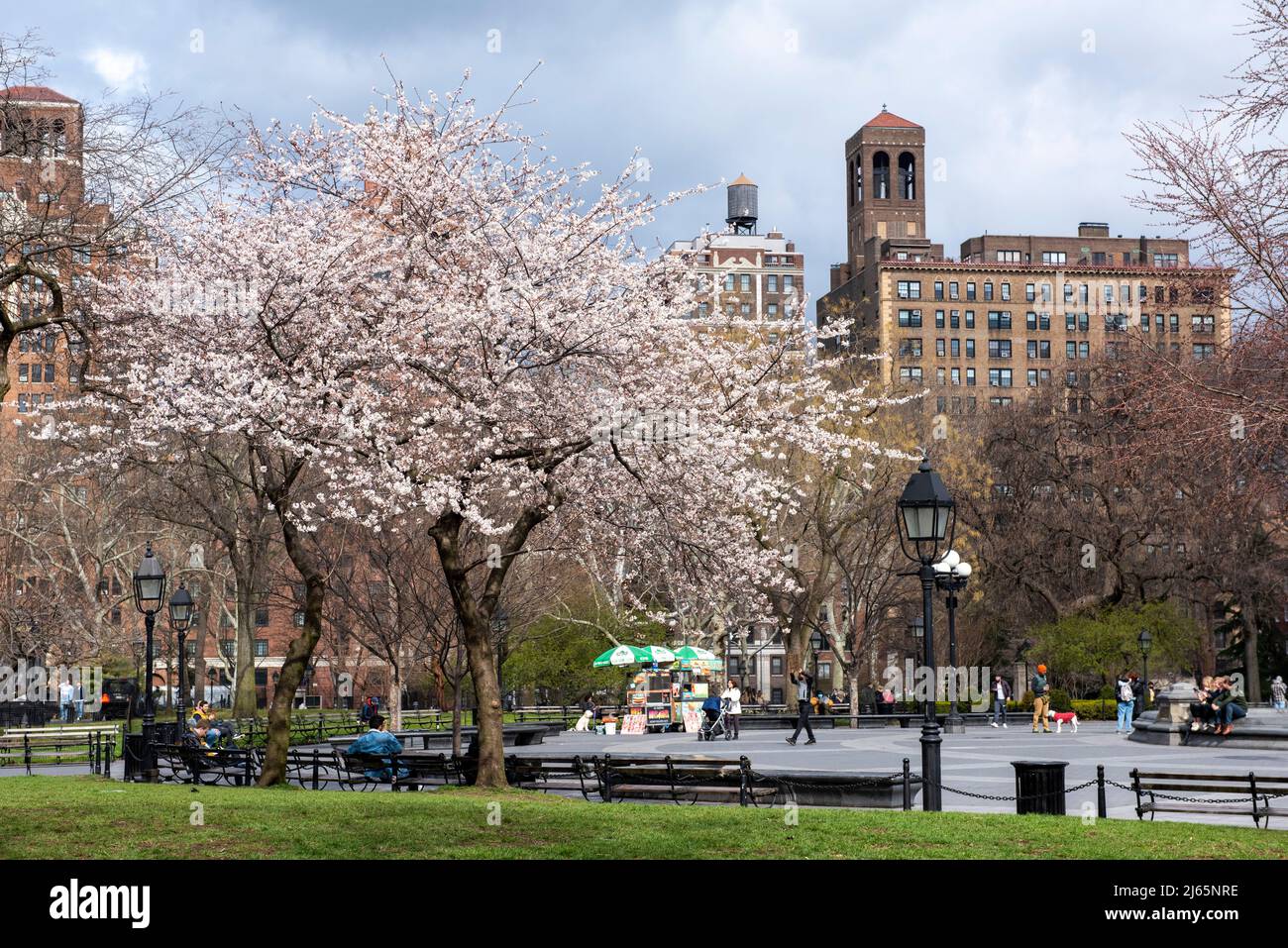 Spring at Washington Square Park, Greenwich Village New York USA Stock Photo