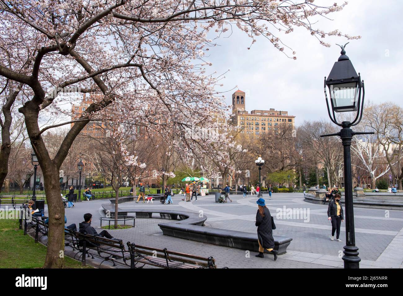 Spring at Washington Square Park, Greenwich Village New York USA Stock Photo