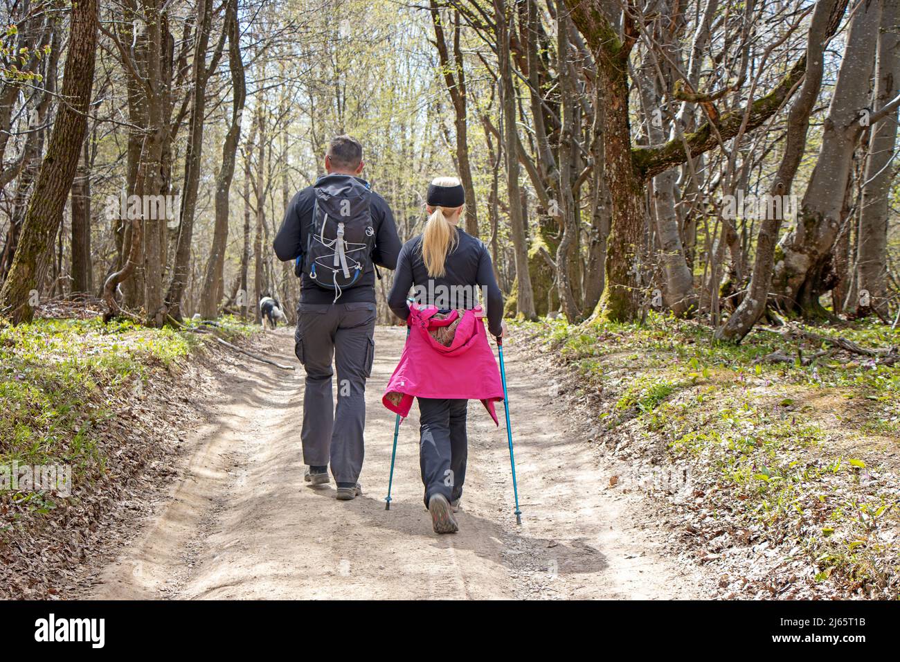 Young couple with a dog walking by hiking trail in the forest Stock Photo