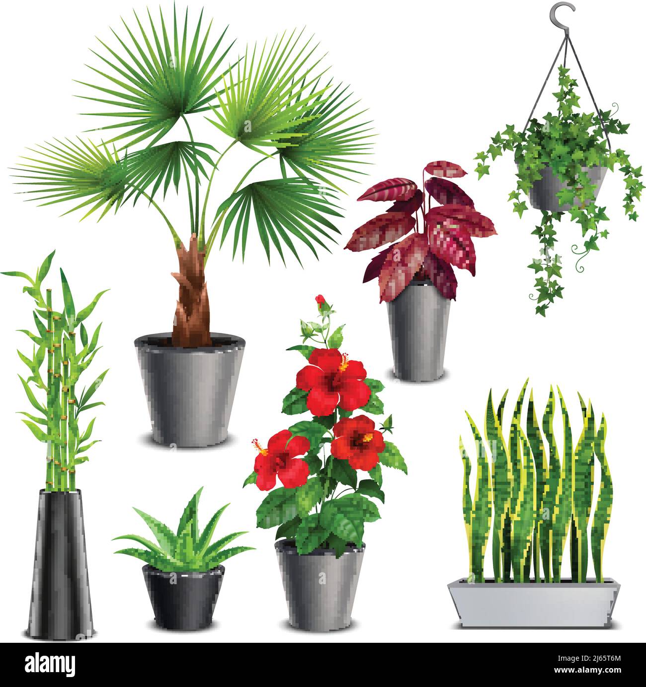 House plants realistic set with hibiscus succulents ivy hanging pots fan palm bamboo stalks vase vector illustration Stock Vector