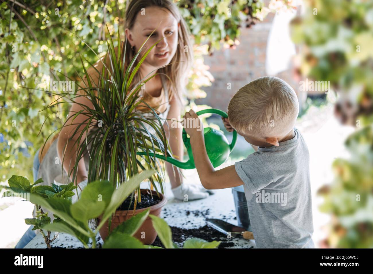 Family Planting Flowers Together. Spring Houseplant Care, repotting