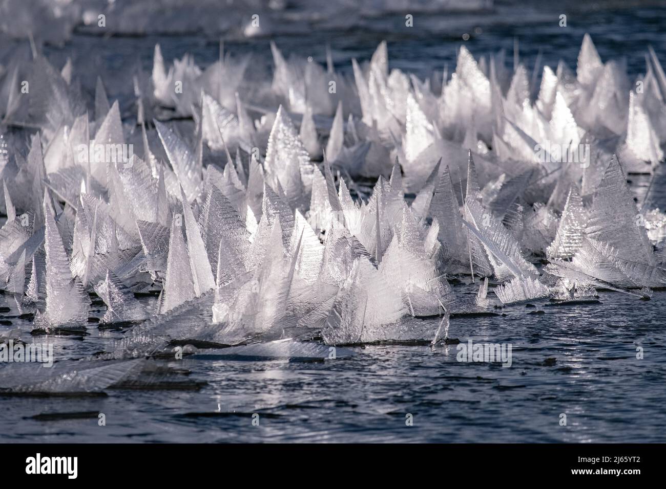 Bizarre Eiskristalle auf einem kleinen See im isländischen Hochland Stock Photo