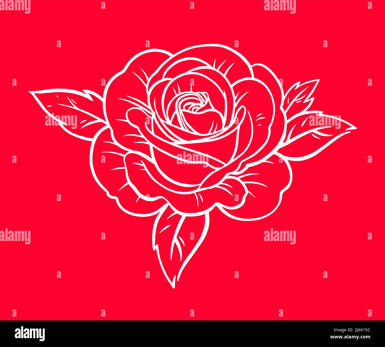 Beautiful rose flower vector illustration Stock Vector Image & Art Alamy