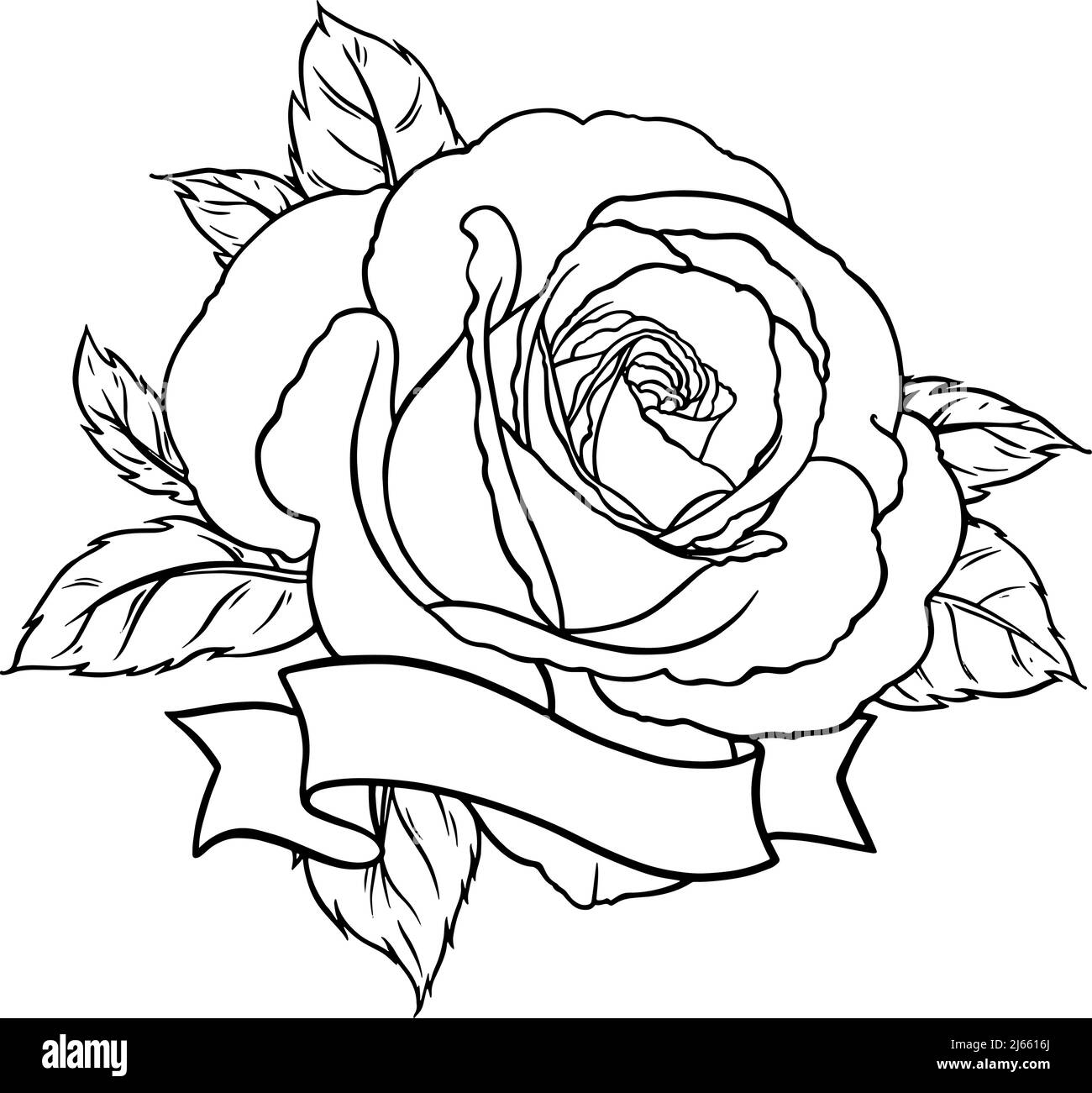 Rose Flower Drawing Beautiful Art  Drawing Skill