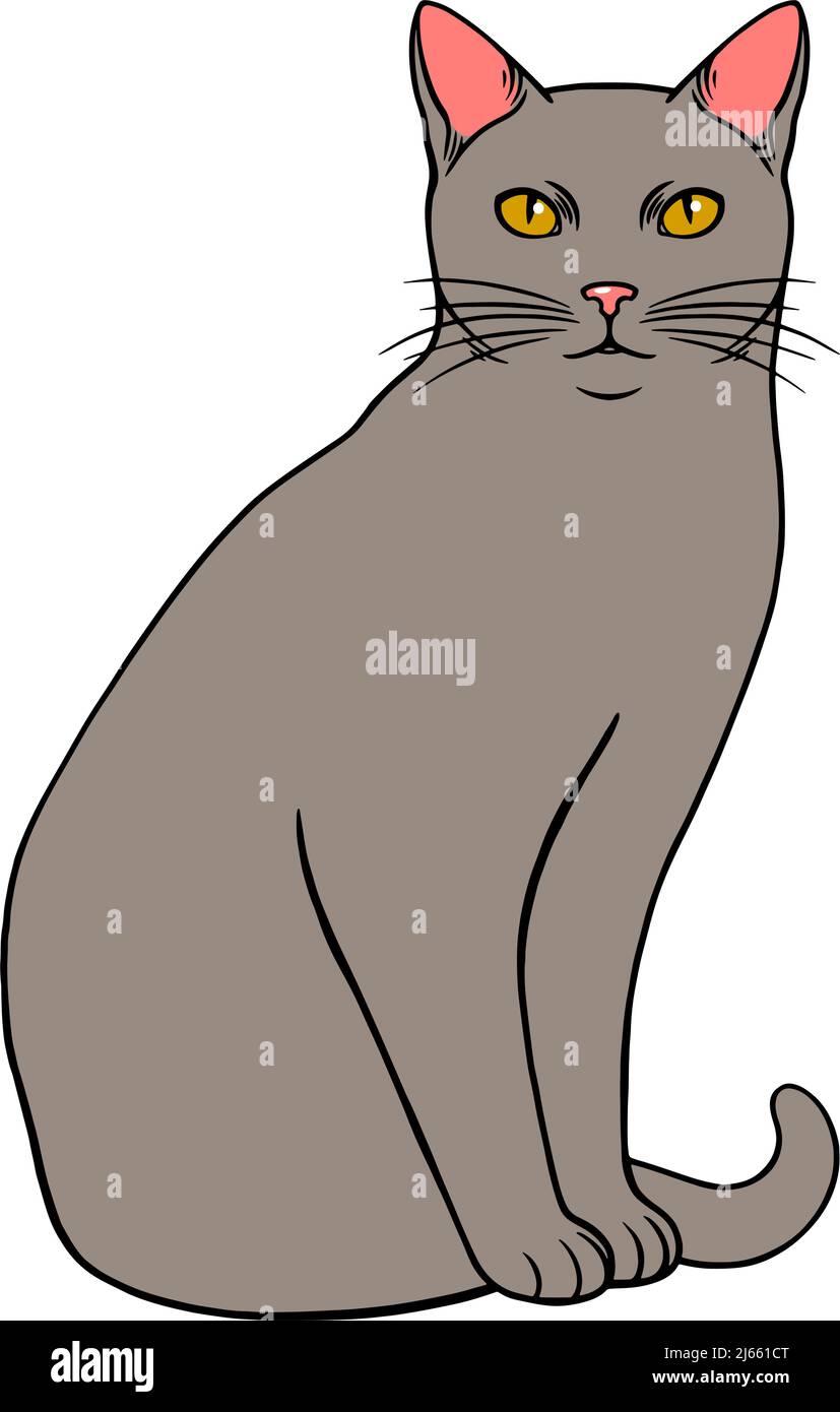 Simple grey sitting cat. Pet kitten. vector illustration Stock Vector
