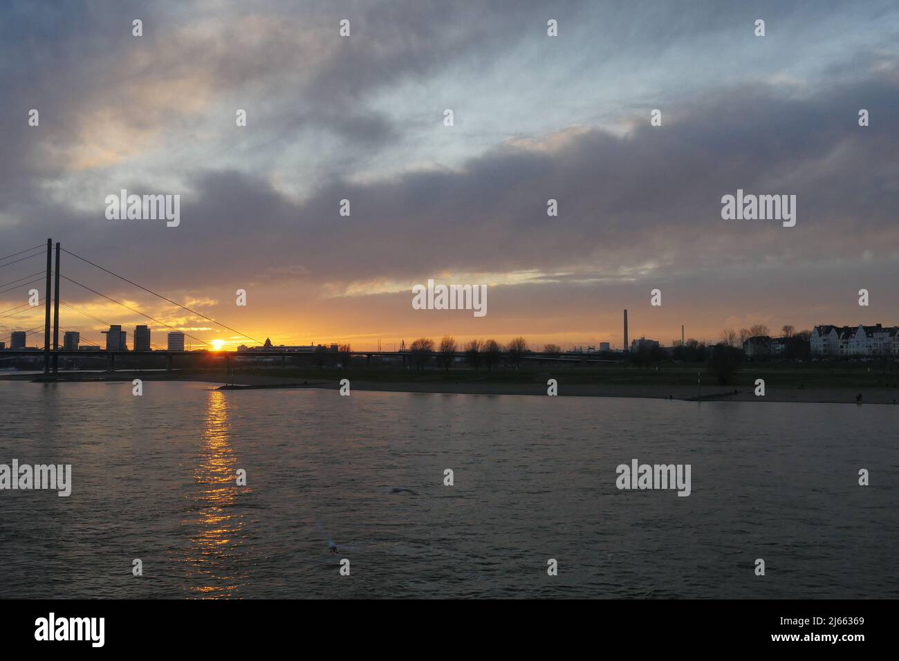 View to the Rheinkniebrücke, Rhine knee bridge in English language, office buildings from the port and the city from Oberkassel in the dark dusk, Stock Photo