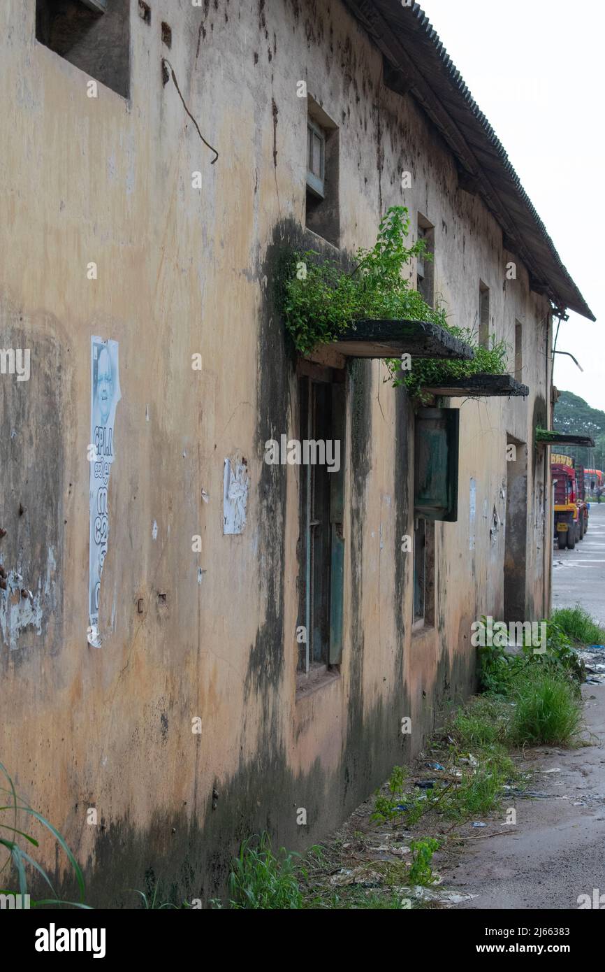 Old fashioned windows of an old building Stock Photo Alamy