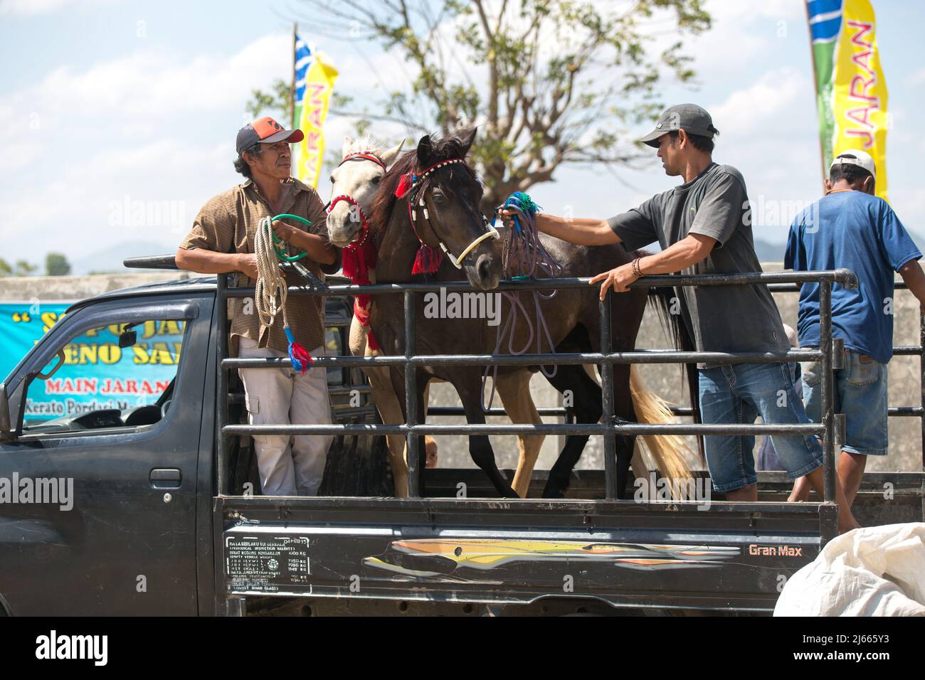 Sumbawa Besar, Indonesia - September 16, 2017: Horse racing in Sumbawa Besar, Indonesia. Stock Photo