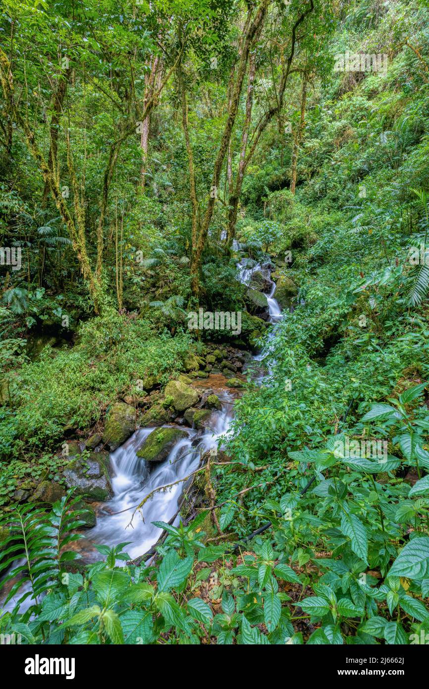 Long exposure of small wild mountain waterfall. Stunning landscape of wilderness and pure nature. San Gerardo de Dota, Costa Rica. Stock Photo
