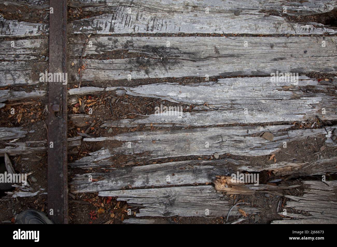 yellow leaves announcing autumn Stock Photo - Alamy