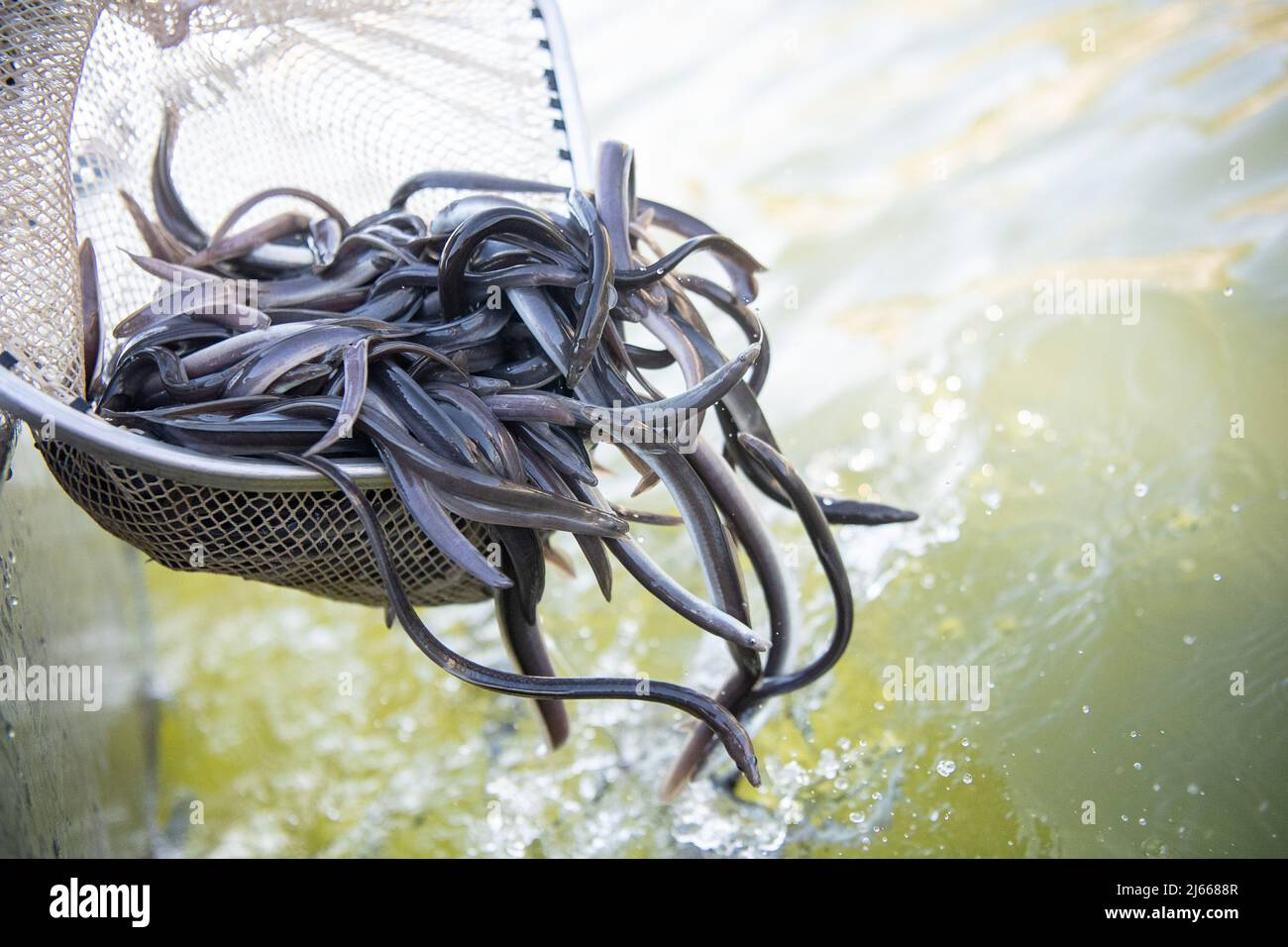 Landeshafen hires stock photography and images Alamy