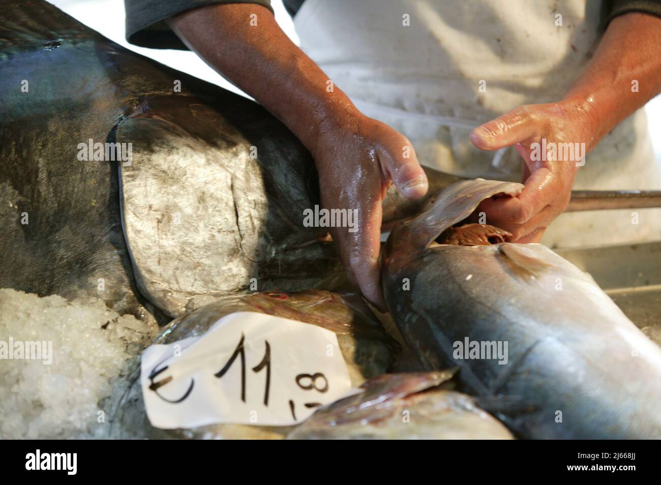 Fish Vendor Stock Photo
