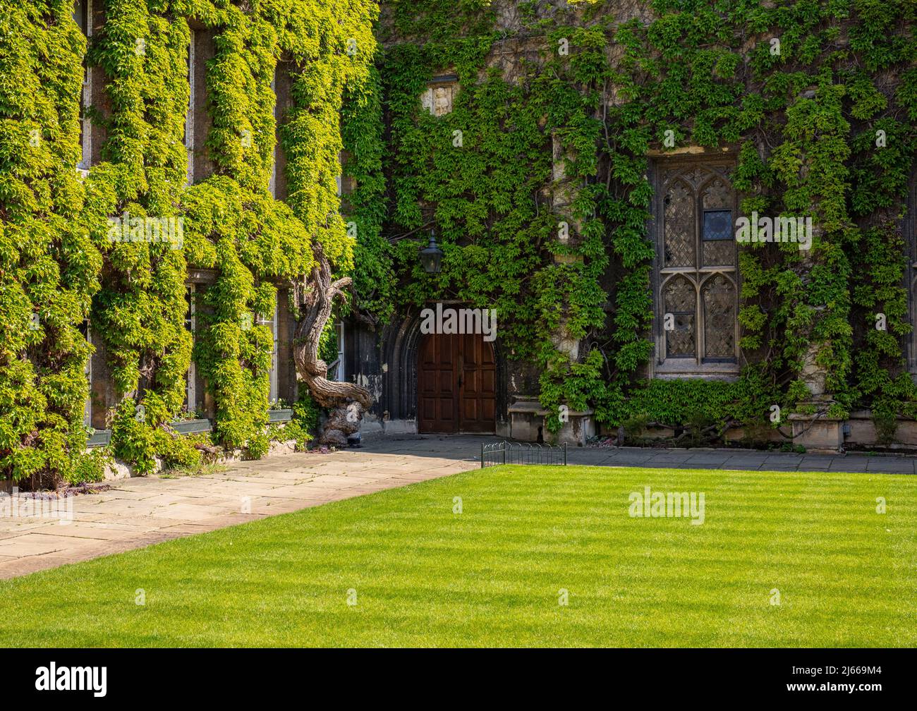 Front quadrangle of Lincoln College, Oxford, UK; a lawn surrounded by