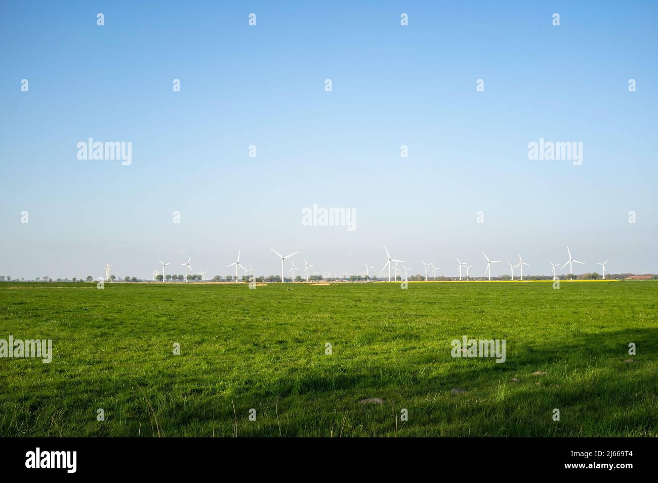 Field with fresh green grass against a blue sky and wind turbines ...
