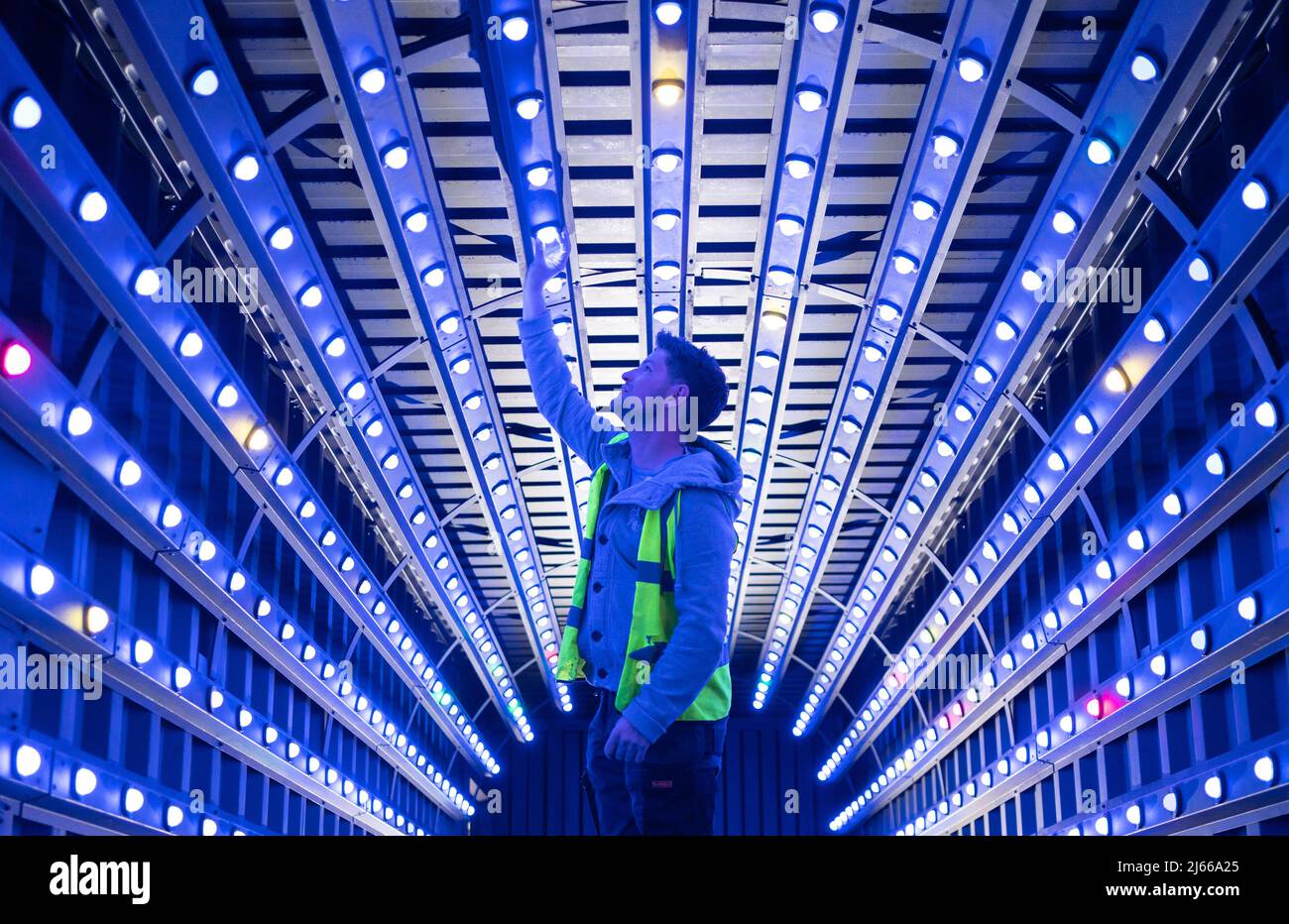 Blue clearance light legoland