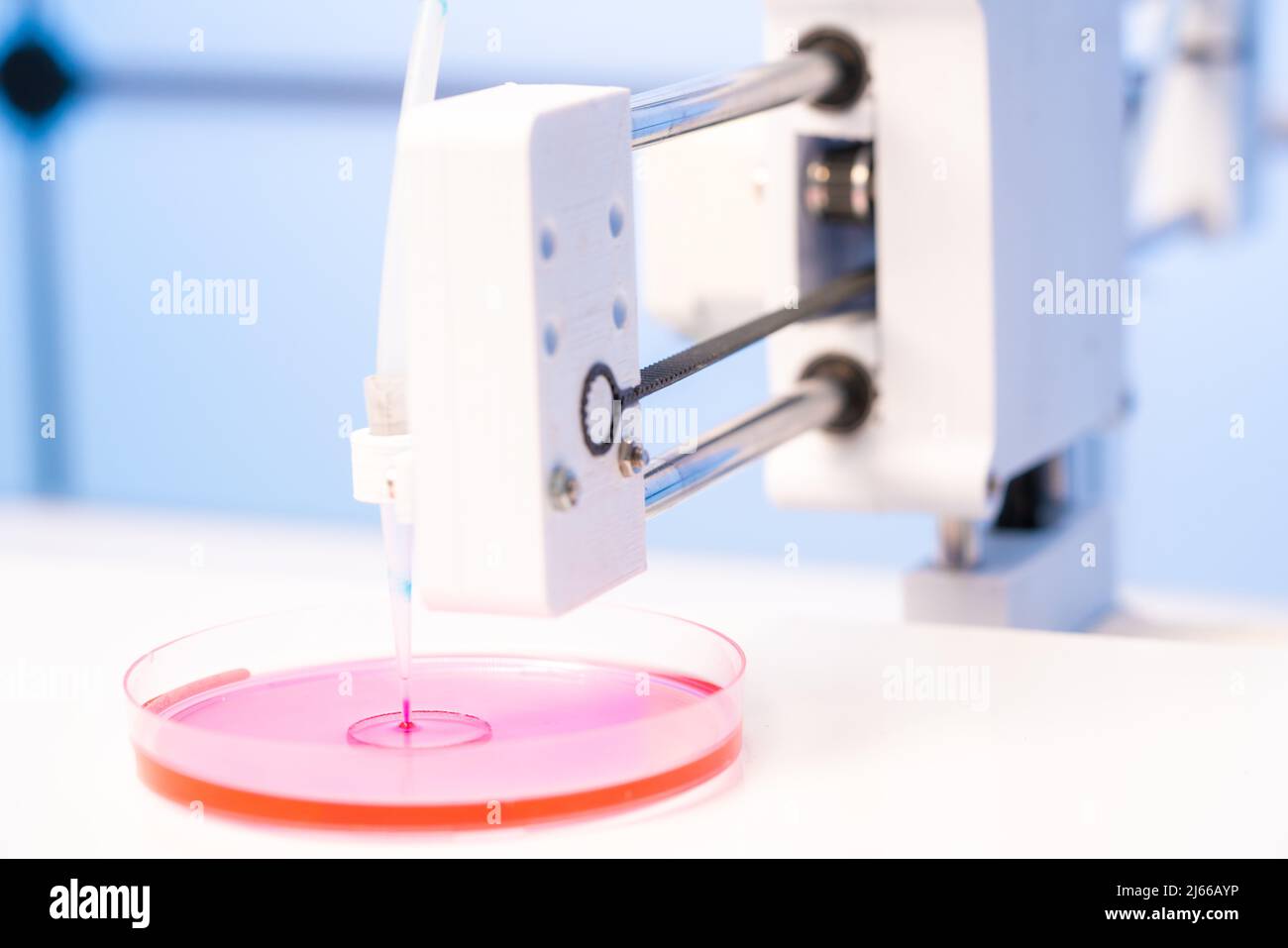 3D bioprinter ready to 3D print cells onto an electrode. Biomaterials,  tissue engineering concepts. 3D bioprinting is the utilization of 3D  printing Stock Photo - Alamy