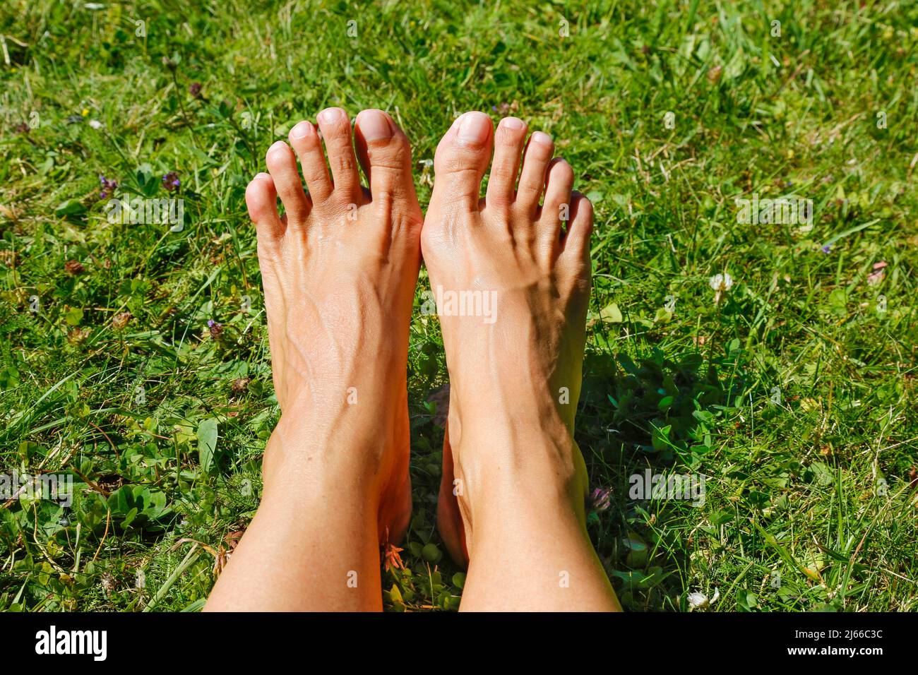 amateur czech sexy feet