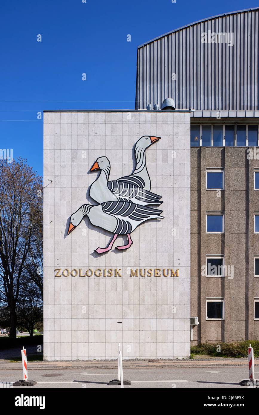 Copenhagen Zoological Museum (Zoologisk Museum), Copenhagen, Denmark Stock Photo