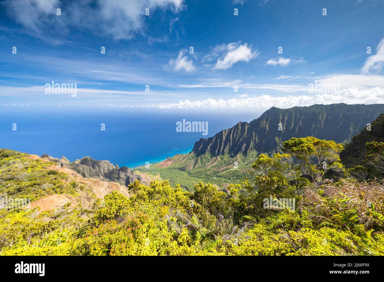 Blick vom Kalalau Lookout ins Kalalau Valley, Kokee State Park, Napali
