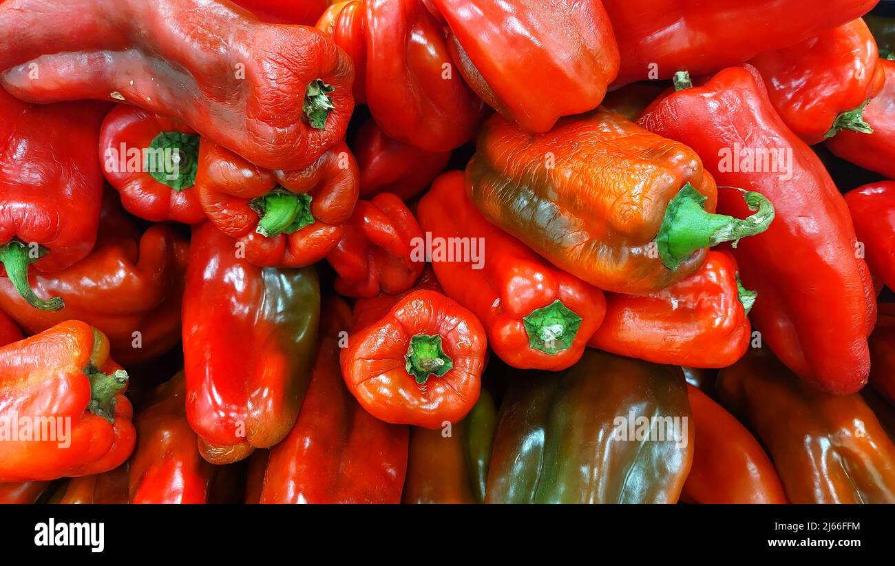 Red bell pepper (Capsicum annuum) for sale Stock Photo