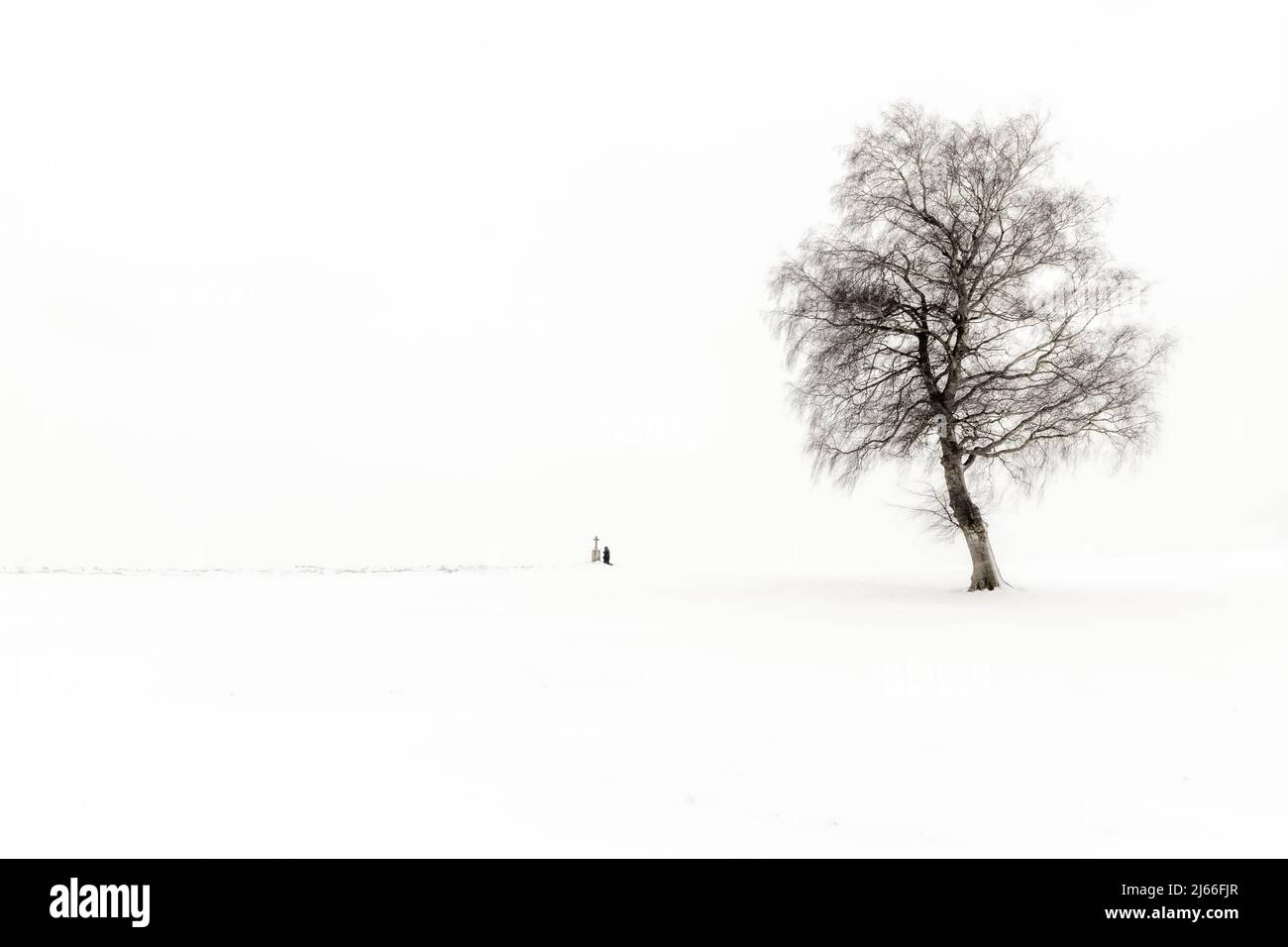 Einsame Frau knieend an Marterl mit Baum in Winterlandschaft, schwazweiss, Kaufbeuren, Ostallgaeu, Bayern, Deutschland Stock Photo