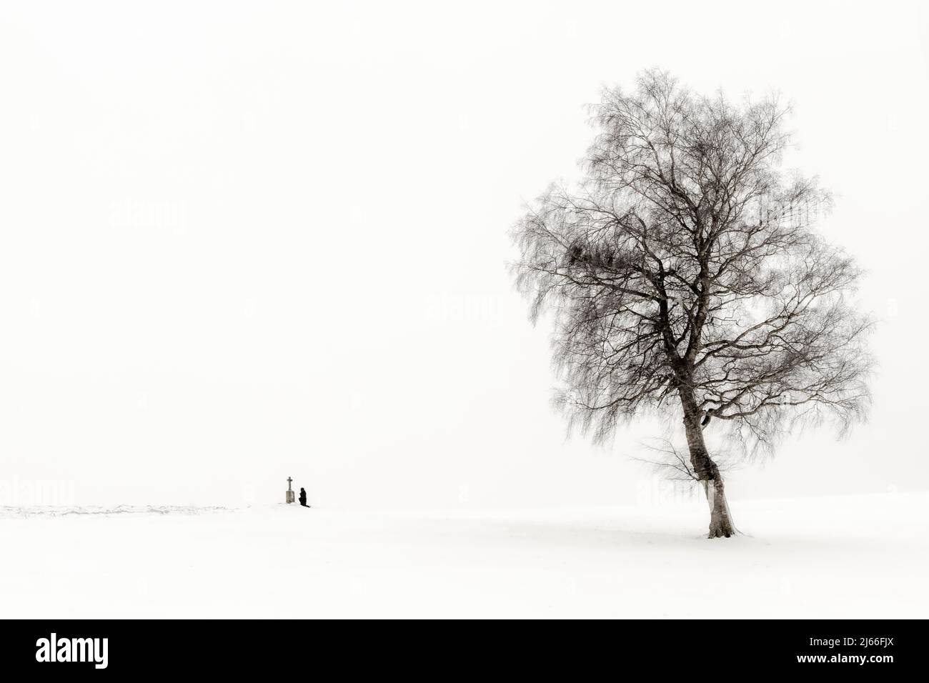 Einsame Frau knieend an Marterl mit Baum in Winterlandschaft, schwazweiss, Kaufbeuren, Ostallgaeu, Bayern, Deutschland Stock Photo