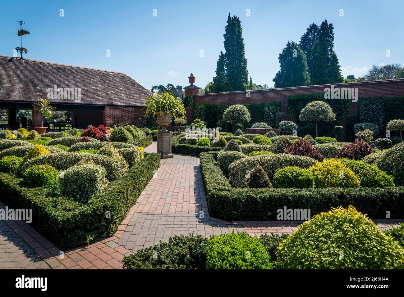 The knot garden with topiary trees in the Walled Garden at Wisley RHS