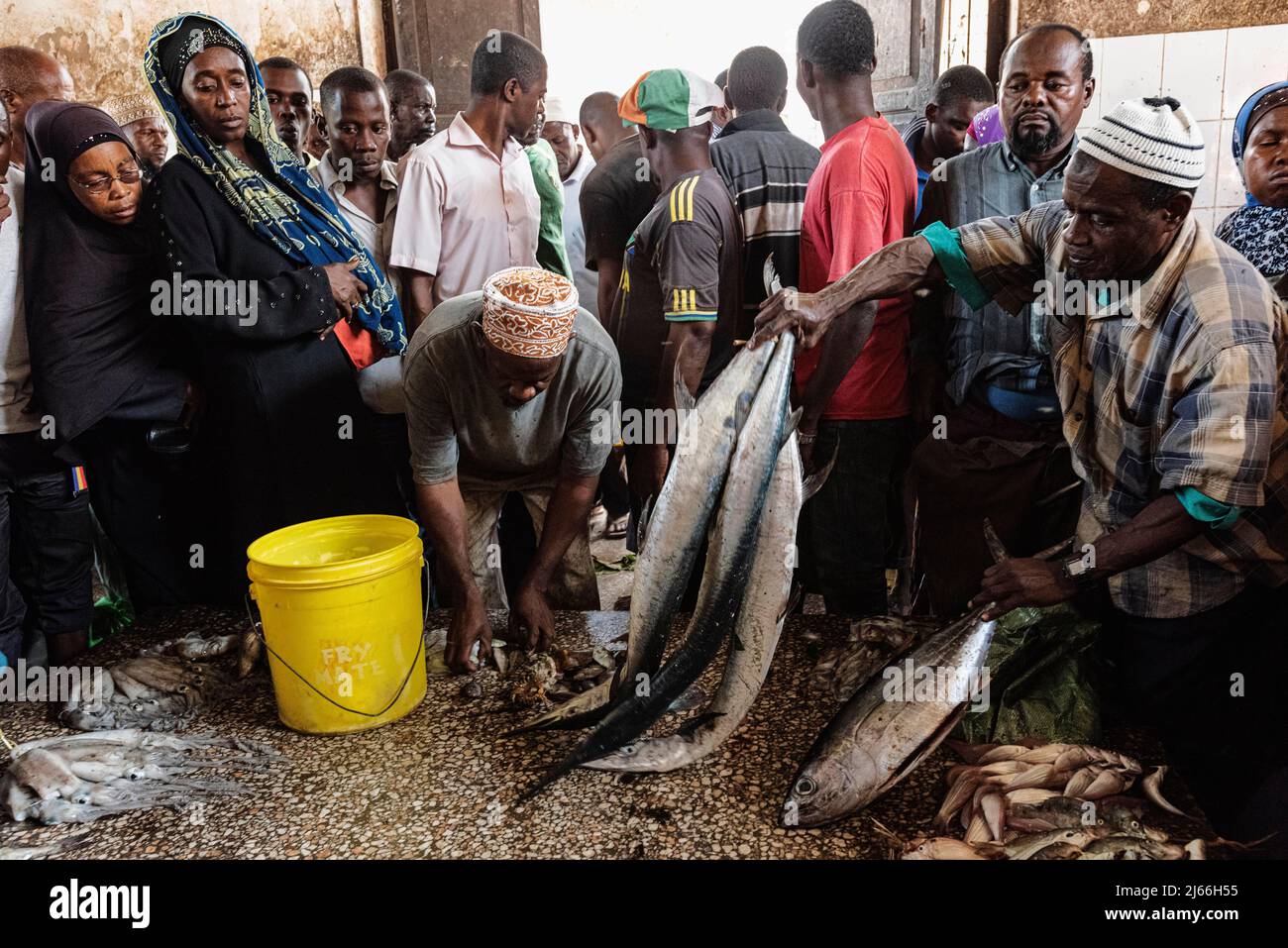 Fisch, Auktion, Kaeufer und Haendler auf dem Fischmarkt im Darajani-Markt, dem groessten Markt von Sansibar, Stone Town, UNESCO Weltkulturerbe Stock Photo