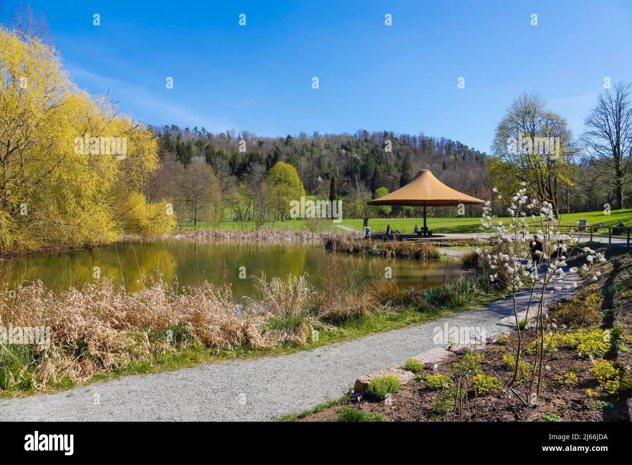 Kurpark Bad Niedernau, Teich, kleiner See, Baeume, Sonnenschirm
