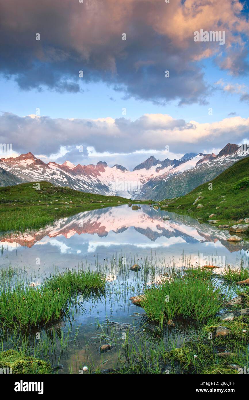 Schweizer Alpen im Sommer, Oberaargletscher, Oberaarhorn, 3638 m, Finsteraarhorn, 4274m, Berner Oberland, Bern, Schweiz Stock Photo