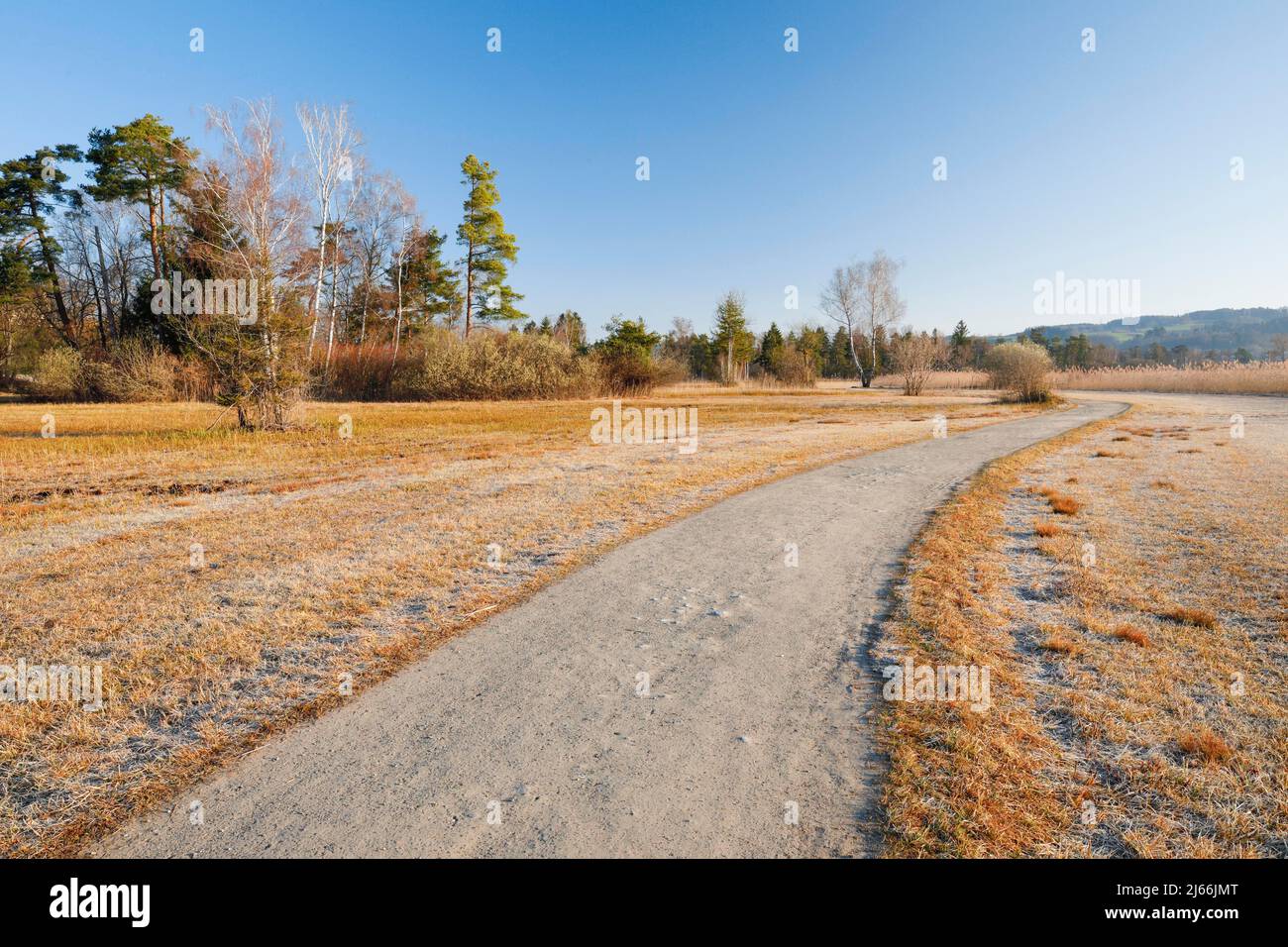 Ertse Sonnenstrahlen beleuchten den Feldweg im Naturschutzgebiet entlang des Pfaeffikersees im Kanton Zuerich, Schweiz Stock Photo