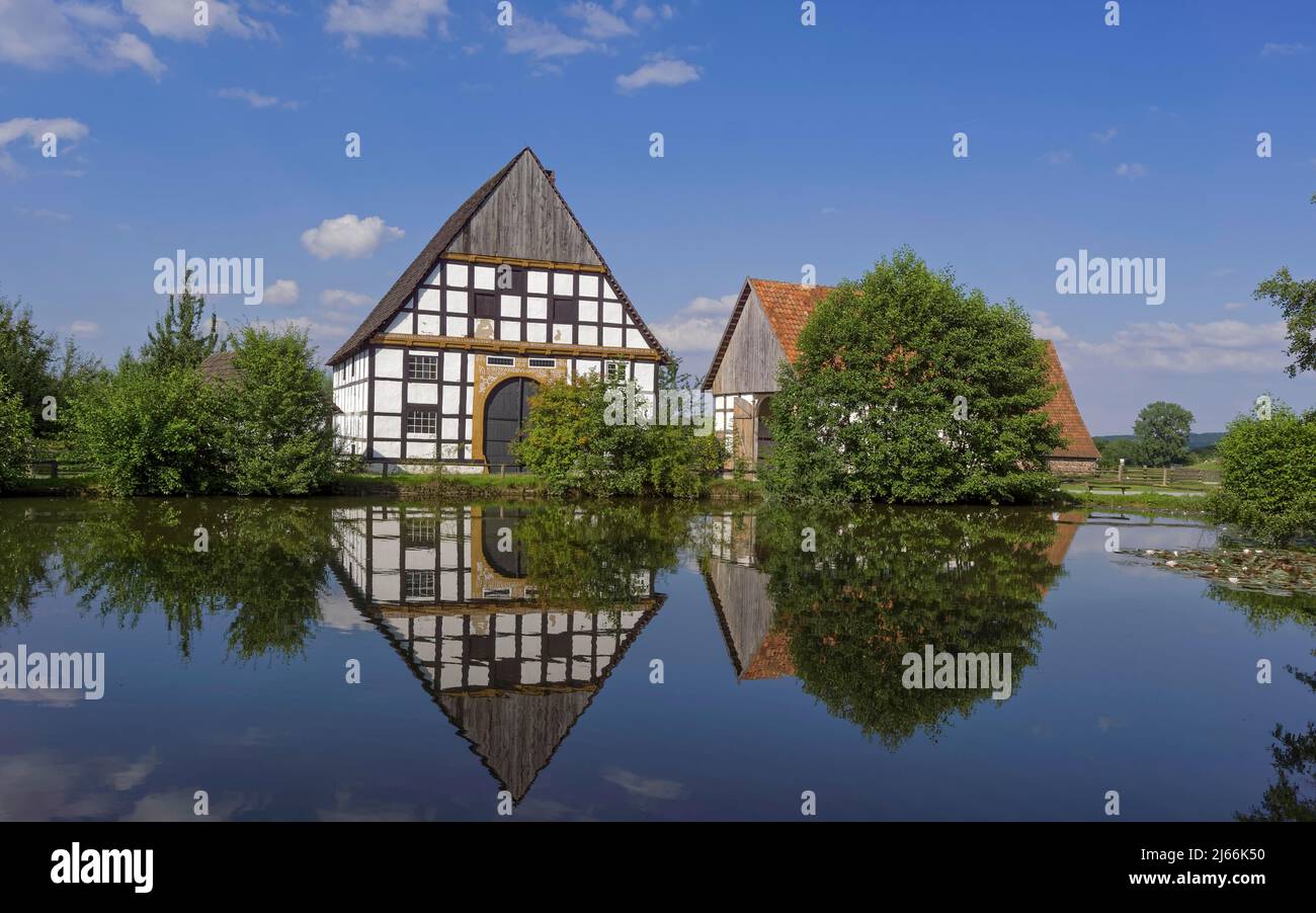 Westphalian State Museum of Folklore, Old half-timbered farmhouse by the pond, Landschaftsverband Westfalen-Lippe, LWL-Freilichtmuseum, Detmold Stock Photo